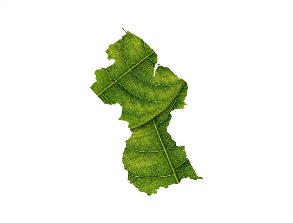 Illustration Guyanese Map Made Green Leaf White Background Concept Ecological — Stock Photo, Image