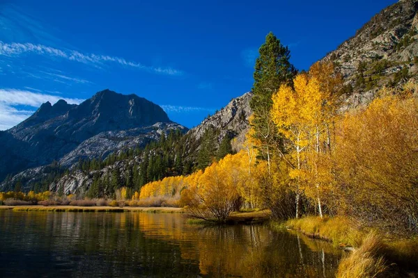 美丽的六月湖环湖风景 海岸上有秋天的树木 蓝天上有高山 — 图库照片