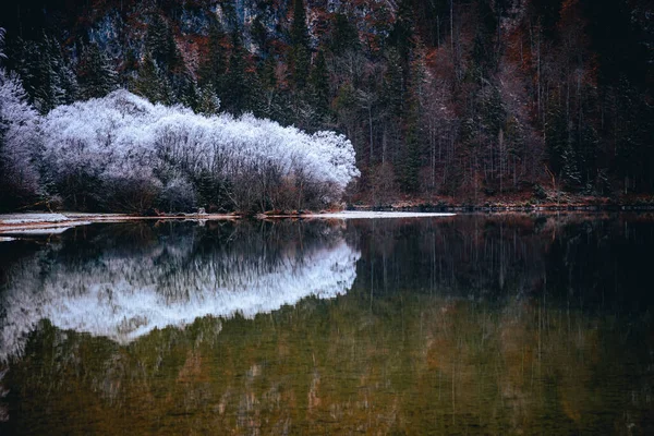 一条水晶般清澈的河流 反映着岩石的群山和冬天的森林 — 图库照片