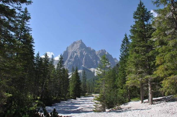 Fascinante Plano Bosque Montano Con Pinos Con Montañas Escarpadas Rocosas —  Fotos de Stock