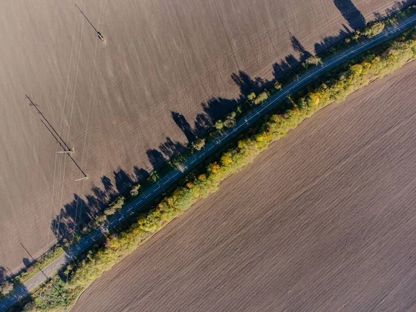 Luftaufnahme Eines Feldes Cremefarbenen Farben Mit Hohen Bäumen — Stockfoto