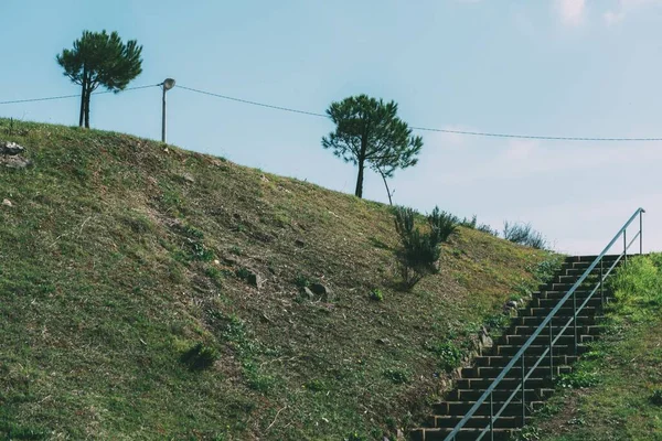 Una Escalera Con Una Barandilla Que Sube Por Colina Cubierta —  Fotos de Stock