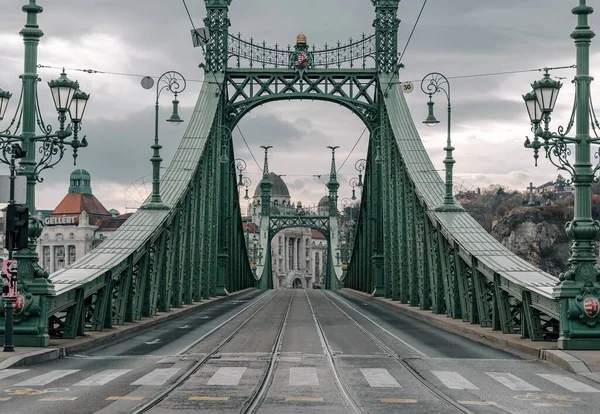 ハンガリーのブダペストで曇りの日に空の自由の橋のイメージ — ストック写真