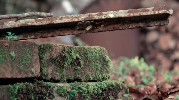 Closeup Shot Rusty Metal Pole Bricks Covered Moss — Stock Photo, Image