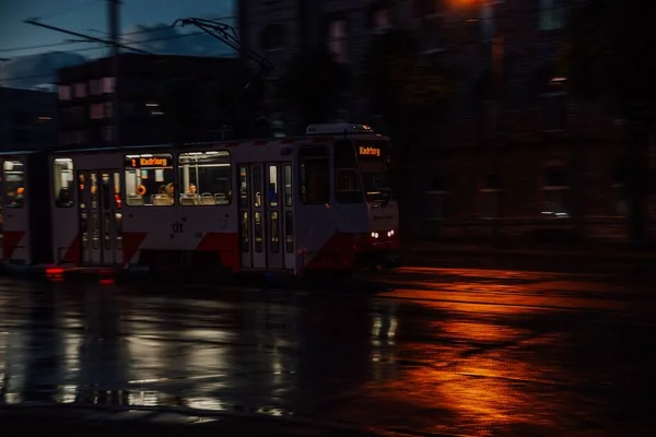 Винтажный Трамвайный Маршрут Таллинне Станции Кадриорг Ночью Уличным Освещением — стоковое фото