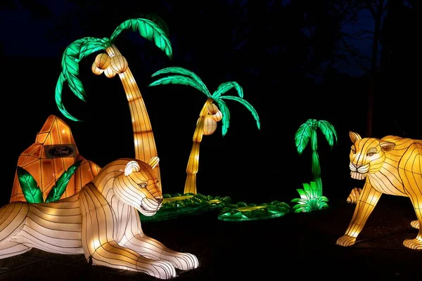 stock image A night shot of palm trees and illuminated animals at Kansas City Missouri Zoo Glowild