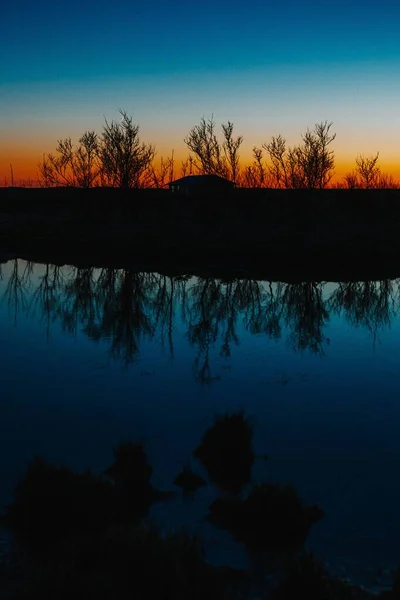 Een Verticaal Shot Van Boom Silhouetten Gradiënt Lucht Weerkaatsend Plas — Stockfoto