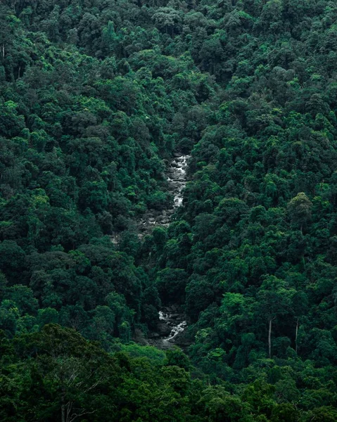 Вертикальный Снимок Реки Протекающей Через Горный Хребет Покрытый Густым Зеленым — стоковое фото