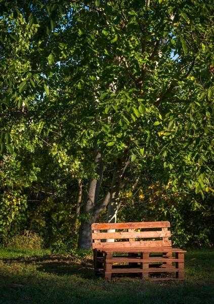 Вертикальный Снимок Красной Деревянной Скамьи Вечнозеленом Парке Днем — стоковое фото