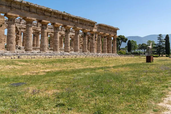 Premier Temple Hera Paestum Avec Des Colonnades Massives Campanie Italie — Photo