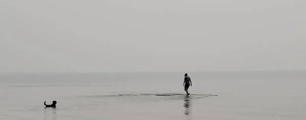 Сіра Смуга Чоловіка Який Грає Своїм Собакою Пляжі — стокове фото