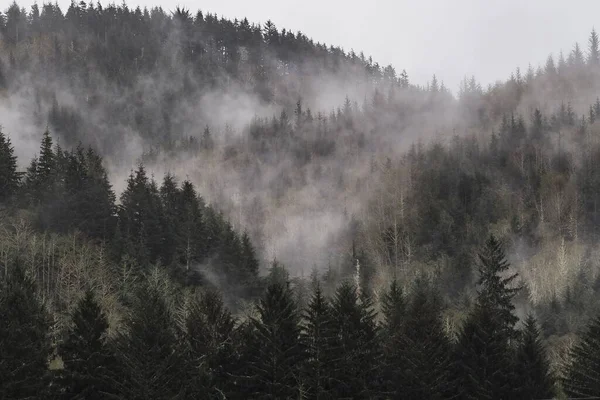 Cloud Rolling Top Mountain Northwest Rain Forest Washington Usa — Stock Photo, Image