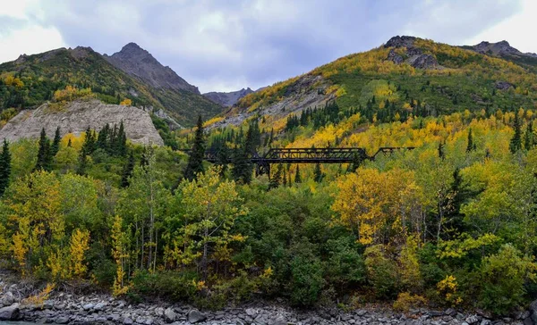Denali Ulusal Parkı Nda Sonbahar Günü Güzel Dağlarla Çevrili Bir — Stok fotoğraf