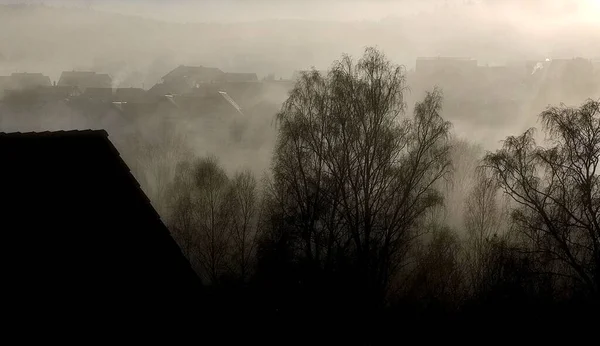 Серый Снимок Домов Деревьев Покрытых Туманом — стоковое фото