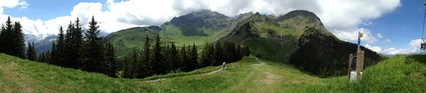 Panoramic Shot Scenic Green Swiss Alps — Stock Photo, Image