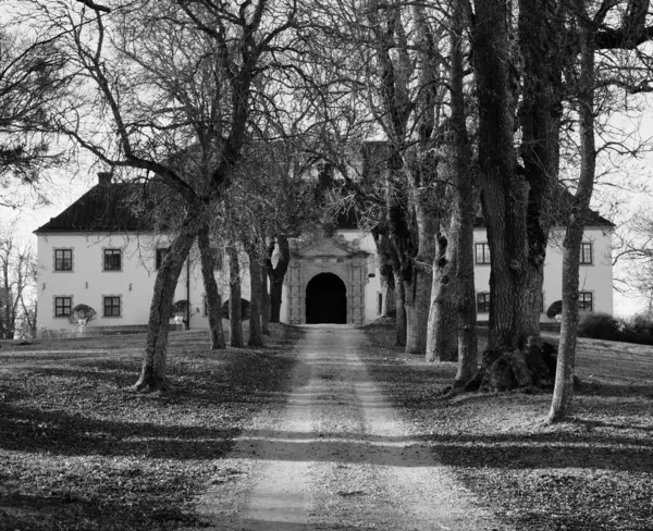 Plan Monochrome Route Étroite Menant Château Tido Suède Entouré Arbres — Photo