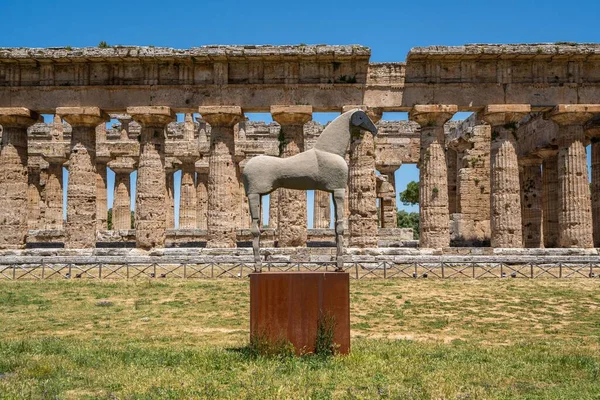 Talya Nın Campania Bölgesindeki Paestum Arkeolojik Alanındaki Antik Tapınağın Önündeki — Stok fotoğraf