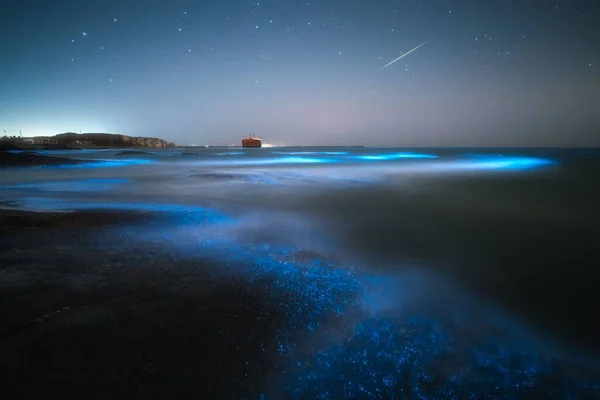 Gece manzaralı biyoluminesens plajı