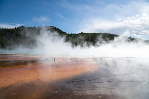 Closeup Shot Geyser Filled Hot Water Forest — Stock Photo, Image