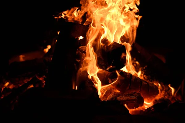 たき火で燃える木 — ストック写真