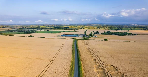 背景にトウモロコシ畑とサマセット州のレベルの無人偵察機のショットと風光明媚な風景 イングランド — ストック写真
