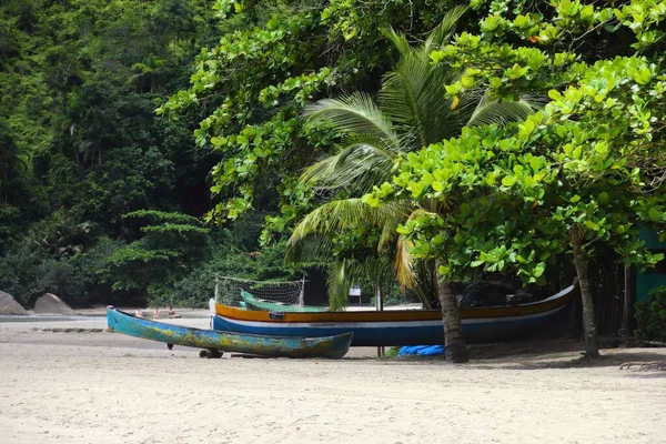Zwei Boote Der Küste Voller Üppiger Bäume Ilhabella Brasilien lizenzfreie Stockbilder