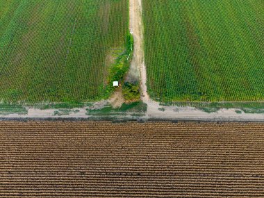 Güneşli bir günde tarlaların kuş bakışı görüntüsü