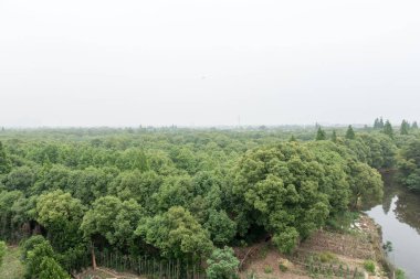 Yoğun bir ormanın ve bulutlu bir gökyüzünün altındaki sakin bir nehrin doğal görüntüsü.
