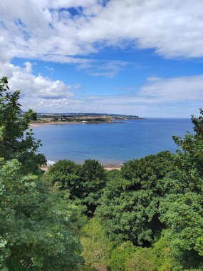Deniz ve yeşil bitki örtüsü üzerinde bulutlu bir gökyüzünün dikey görüntüsü