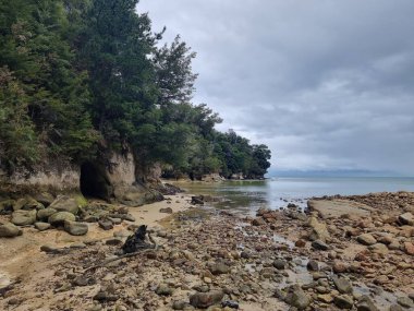 Bulutlu bir gökyüzünde, ormanın kıyısındaki kayalık bir sahilin güzel bir görüntüsü.