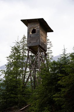 Dolomitlerin arka planında gökyüzü olan ağaçlarla çevrili bir kuş evinin dikey görüntüsü.