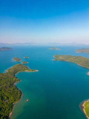 Bir denizin yeşil kaplı kıyılarının dikey drone görüntüsü, arka plan için serin