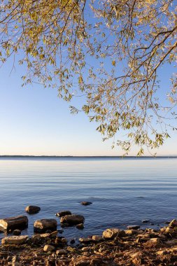 Gündoğumundan hemen sonra, Kanada 'nın Quebec kentinde Sainte Lawrence nehrinin sakin sularında ağaç dalları var.