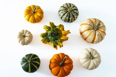 Beyaz arka planda bir grup balkabağı yakın plan