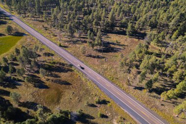 Apache Sitgreaves Ulusal Ormanı boyunca bir kırsal yol manzarası
