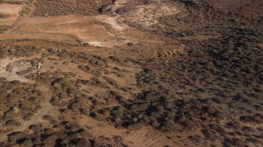 İspanya, Kanarya Adaları, Tenerife 'deki ovalı çöl arazisinin hava manzarası