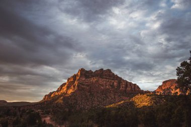 Utah, ABD 'deki dağların yakınındaki güzel bir ormanın hava manzarası.