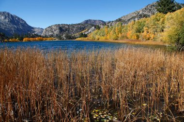 June Lake Loop, Kaliforniya 'da manzaralı bir sonbahar manzarası