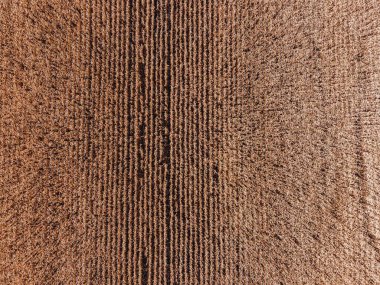 Örtüler ve dokular için bir krem yüzeyine yakın plan