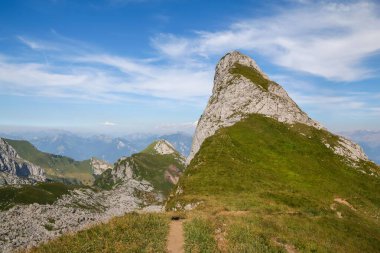 Bulutlu mavi gökyüzü arka planına sahip otlarla dolu bir dağ manzarası.