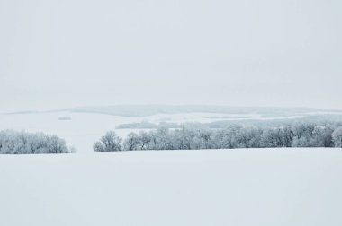 Manitoba, Kanada 'da soğuk bir öğleden sonra manzarası.