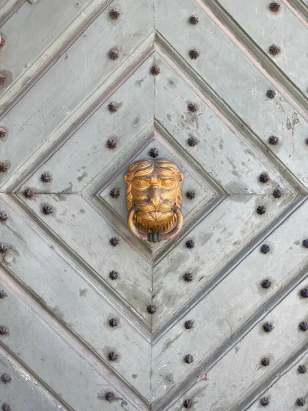緑の門の黄金のノッカーの垂直ショット — ストック写真