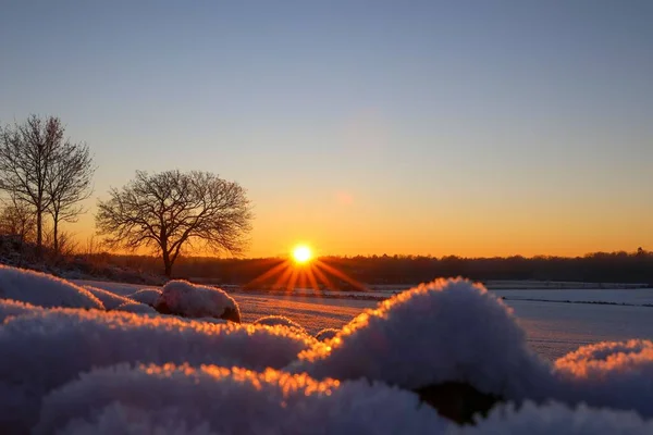 Золотий Захід Сонця Над Деревами — стокове фото