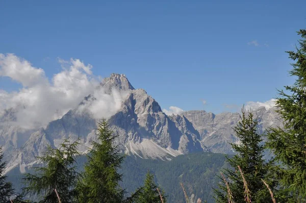 Wielkie Skaliste Góry Alp Włoszech Otoczone Zielonymi Drzewami Tle Błękitnego — Zdjęcie stockowe