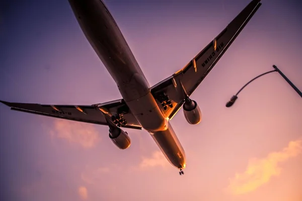 Een Lage Hoek Opname Van Een Landend Vliegtuig Bij Zonsondergang — Stockfoto