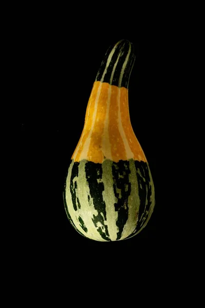 Closeup Vibrant Yellow Green Gourd Isolated Pitch Black Background — Stock Photo, Image
