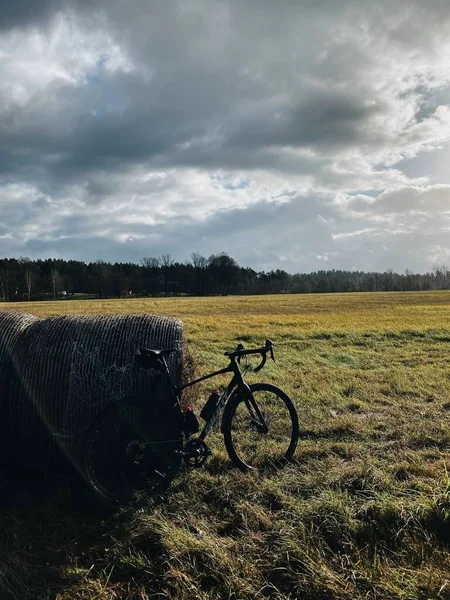 Ein Fahrrad Auf Der Grünen Wiese — Stockfoto