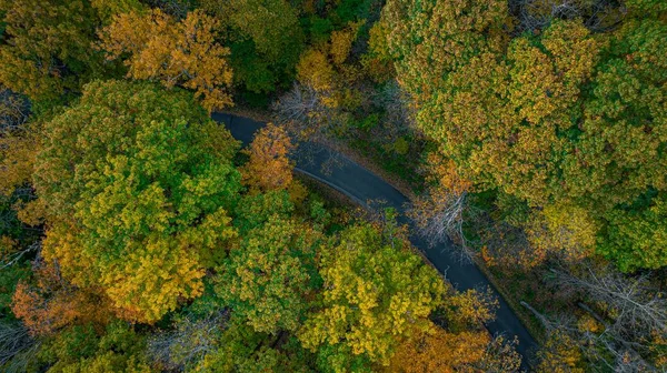 Aerial Top View Beautiful Autumn Foliage Mountains — Stock Photo, Image