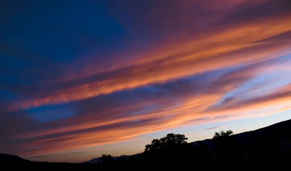 Розовый Закат Темном Облачном Небе Сияющий Силуэтами Деревьев Шипов — стоковое фото