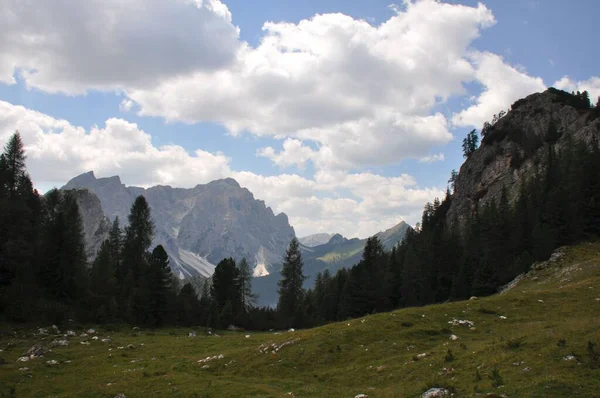 Eine Faszinierende Aufnahme Von Bergwald Mit Kiefern Mit Zerklüfteten Und — Stockfoto